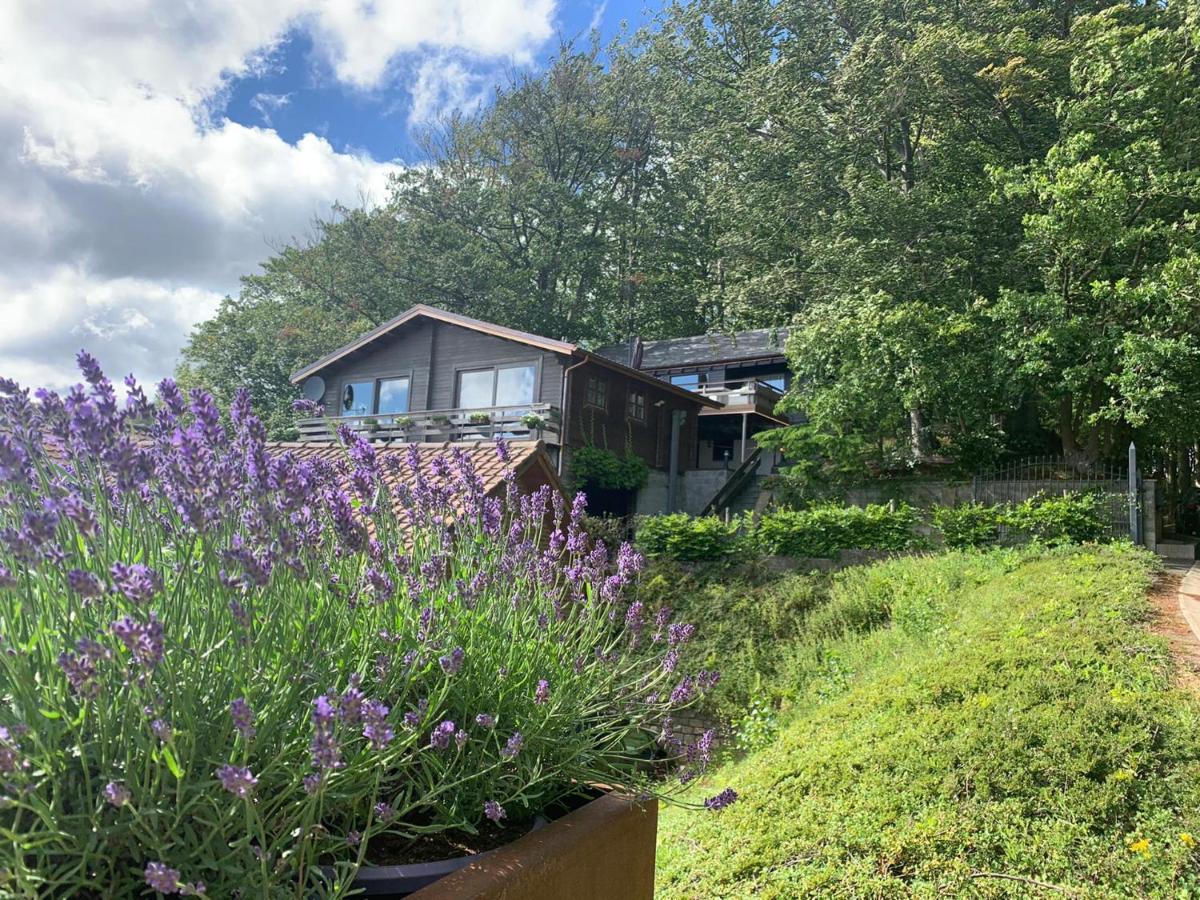 Chalet De La Sabliere Amougies Exteriör bild